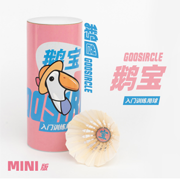 鹅宝-入门训练用球